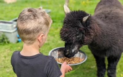 Invicta Law and Dandelion Time: A Local Partnership Changing Young Lives